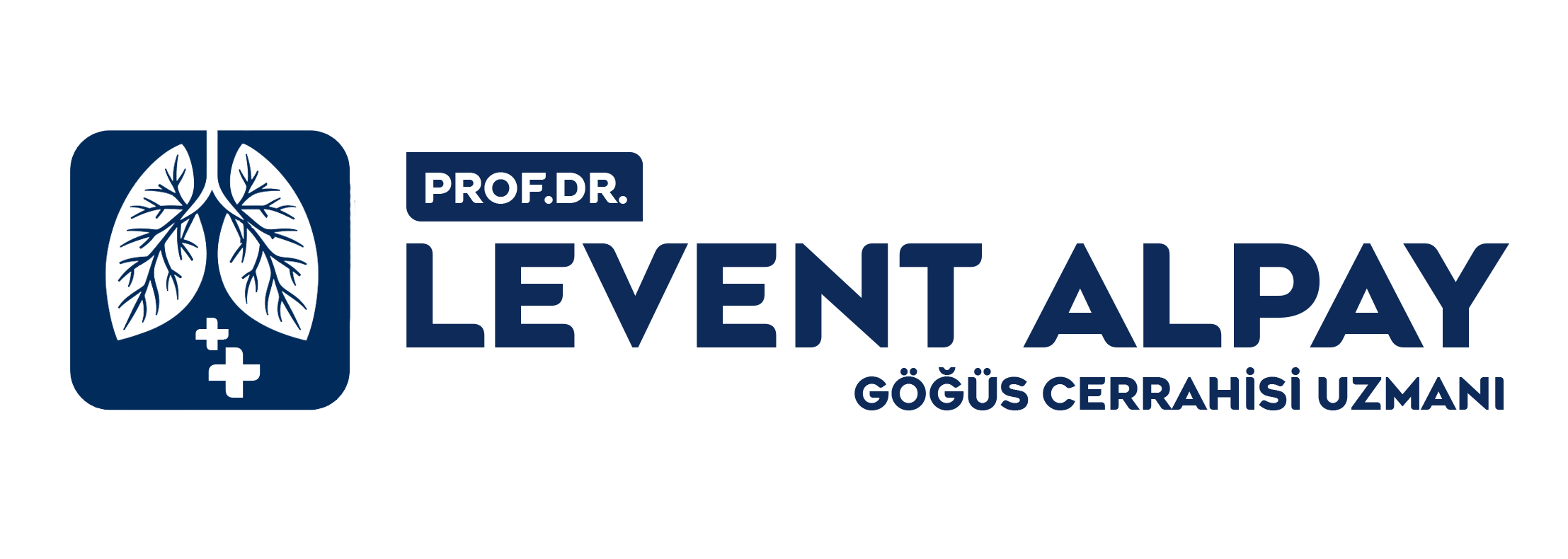 Prof. Dr. Levent Alpay logo