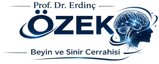 Prof. Dr. Erdinç ÖZEK